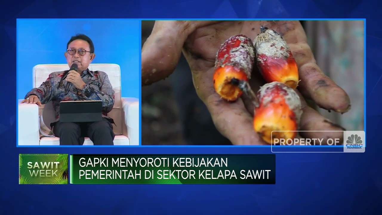 Tantangan Industri Sawit Indonesia, Dijegal Eropa hingga Harmonisasi Kebijakan