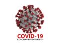Update Covid-19 Riau, Total Konfirmasi Positif Capai 26.132 Kasus