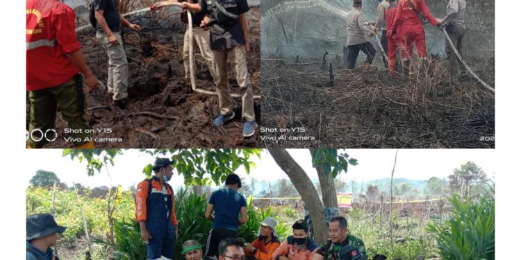 HGU Alam Sari Lestari Terbakar