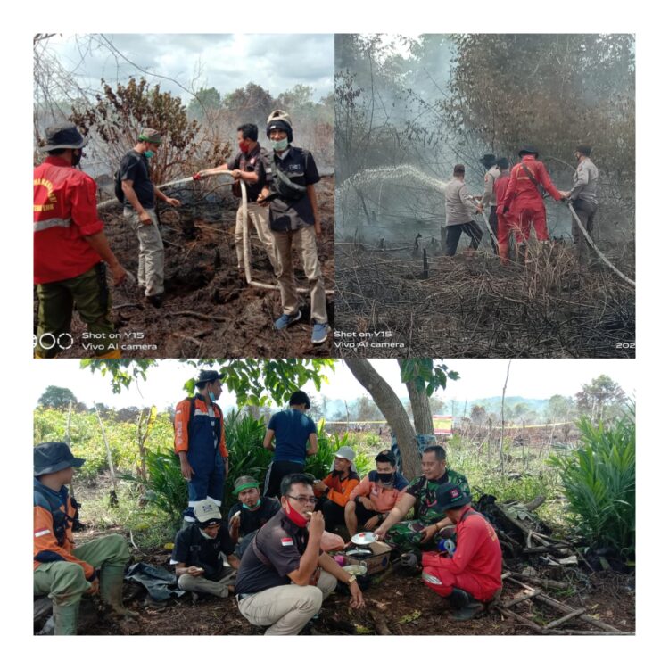 HGU Alam Sari Lestari Terbakar