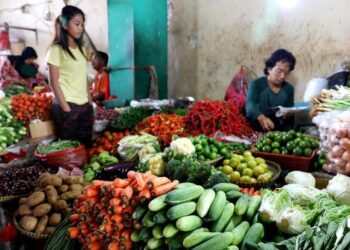 RI Tak Sendiri, Negara-negara Ini Juga Larang Ekspor Pangan. Part.1