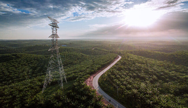 Minyak sawit sebagai minyak nabati berkelanjutan terbesar di dunia