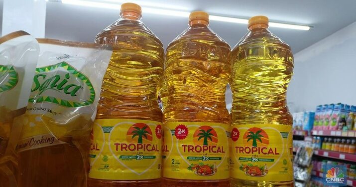 Strategi Jokowi Berhasil, Harga Minyak Goreng Mendadak Turun