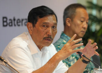Tanggapi UU Antideforestasi, Luhut Ancam Setop Ekspor CPO ke Uni Eropa