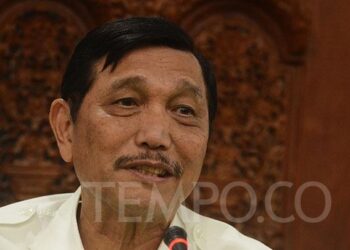 3,3 Juta Hektare Lahan Sawit di Kawasan Hutan, Luhut: Pakai Logika Saja, Kita Putihkan Terpaksa