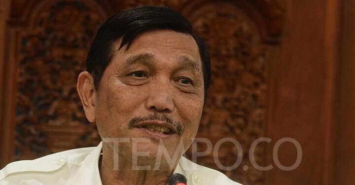 3,3 Juta Hektare Lahan Sawit di Kawasan Hutan, Luhut: Pakai Logika Saja, Kita Putihkan Terpaksa