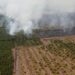 Deforestasi dan Hasrat Eropa “Membunuh” Sawit Indonesia