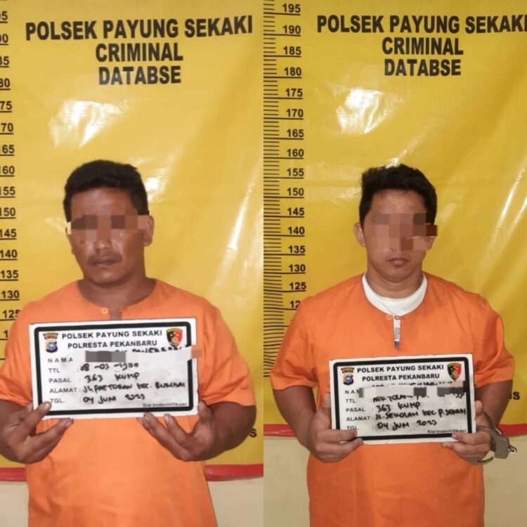 Tim Opsnal Polsek Payung Sekaki Kembali Tangkap Pelaku Pencurian Dengan Pemberatan