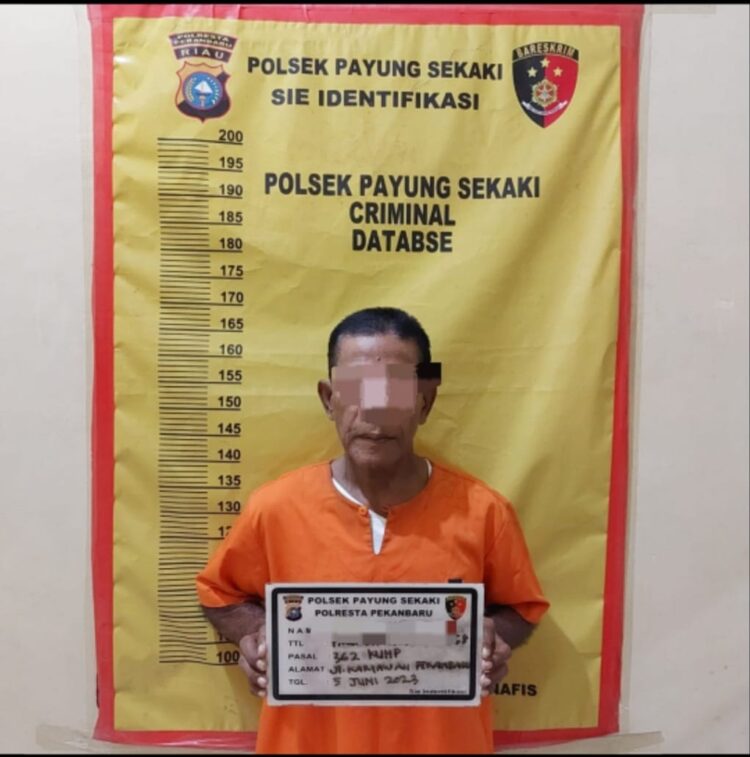 Pelaku Pencurian HP di Kantin Puskesmas Dibekuk Tim Opsnal Polsek Payung Sekaki