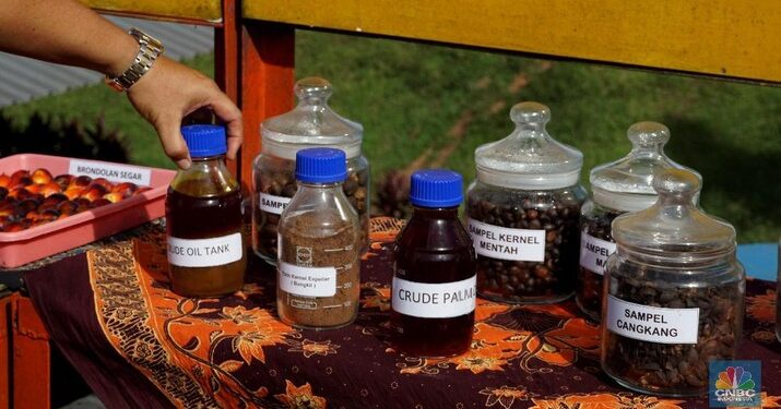 FYI Produk Olahan CPO Yang Kita Gunakan Setiap Hari