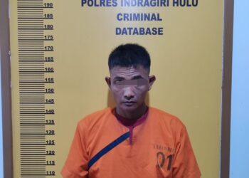 Polres Inhu Bekuk Pengedar Ganja Kering di Desa Lambang Sari, Lirik