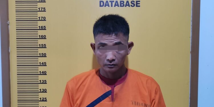 Polres Inhu Bekuk Pengedar Ganja Kering di Desa Lambang Sari, Lirik