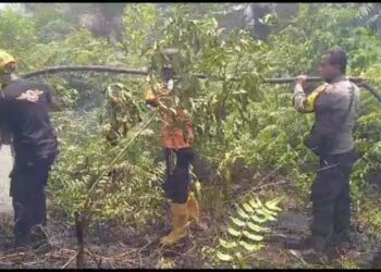 Begini Upaya Polisi, TNI dan Manggal Agni Tangani Karhutla di Desa Tarai Bangun
