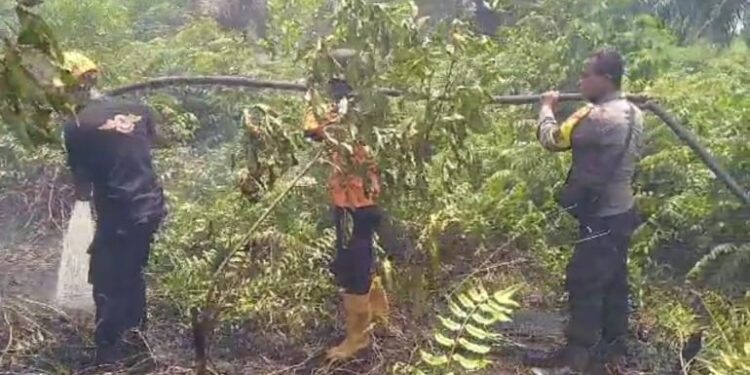 Begini Upaya Polisi, TNI dan Manggal Agni Tangani Karhutla di Desa Tarai Bangun