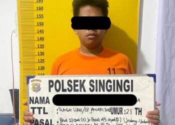 Polsek Singingi Mengamankan 1 (satu) Orang Pelaku Judi Online Jenis Chip Higgs Domino