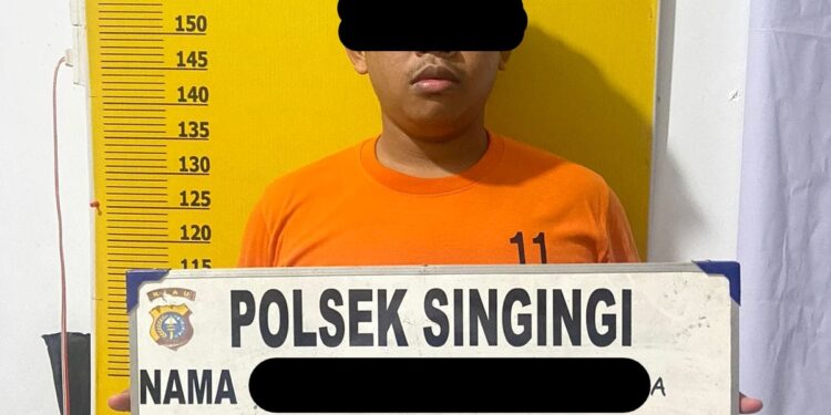 Polsek Singingi Mengamankan 1 (satu) Orang Pelaku Judi Online Jenis Chip Higgs Domino