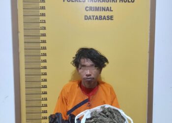 Polres Inhu Ringkus Pengedar Ganja Kering, Total BB Membuat Heboh