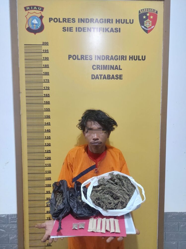 Polres Inhu Ringkus Pengedar Ganja Kering, Total BB Membuat Heboh