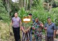 Prajurit Kodim 0206/Dairi Bersinergi dengan Polsek Tiga Lingga Amankan Pemilik Narkoba