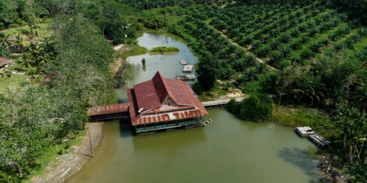 Destinasi Wisata Danau Betung Butuh Pemeliharaan Dari Pemkab Pelalawan