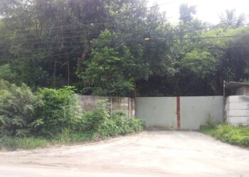 Pergudangan Simpang Pulai Desa Baru Diduga Tempat Penyimpanan Barang Ilegal