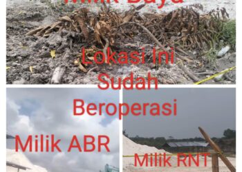 3 Bigbos Quari Ilegal di Desa Tarai Bangun Kecamatan Tambang Bebas Operasi