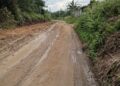 Jalan di Desa Pangkalanbaru Rusak parah dan Berlobang