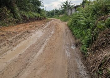 Jalan di Desa Pangkalanbaru Rusak parah dan Berlobang