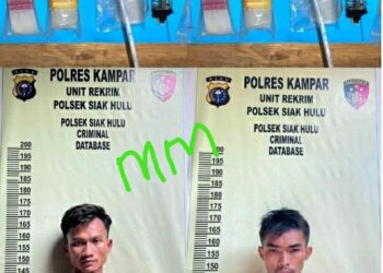 Polsek Siak Hulu Sikat Bandar Narkotika Jenis Shabu dan Daun Ganja Kering