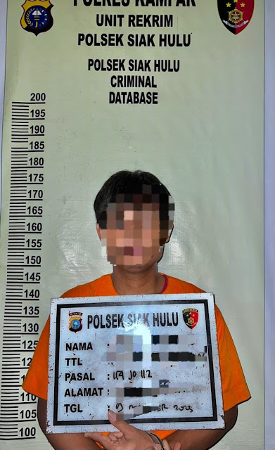 Unit Reskrim Polsek Siak Hulu Tangkap Satu Orang Tersangka Diduga Pengedar Narkoba