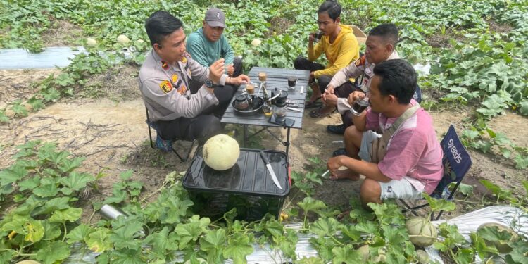 Bawa Perlengkapan Ngopi, Kapolsek LBJ Sosialisasikan Pemilu Damai di Ladang