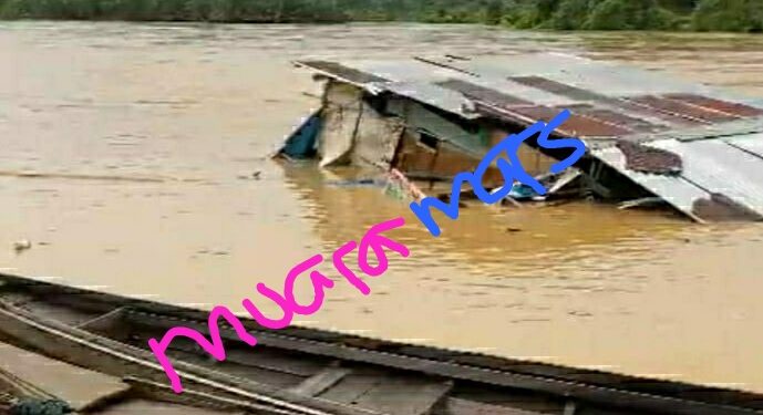 Sungai Subayang Meluap, 3 Unit Rumah Warga Hanyut Terseret Banjir