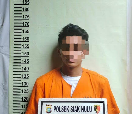 Polsek Siak Hulu Ringkus Inisial RI Pemilik Daun Ganja Kering