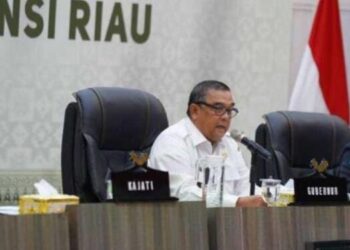 Sebanyak 128 Perusahaan Kelapa Sawit di Riau Tidak Memiliki HGU