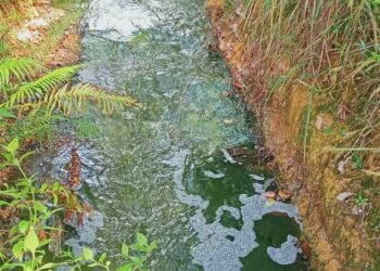 Air Laut Tercemar Limbah” di Duga dari Hasil Pembuangan Kotoran Tambak Udang