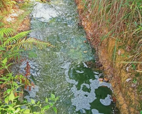 Air Laut Tercemar Limbah” di Duga dari Hasil Pembuangan Kotoran Tambak Udang