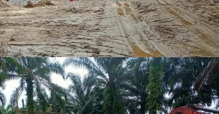 Masyarakat Berharap APH,” Tindak Usaha Quari Ilegal di Kampar Jangan Setengah Hati