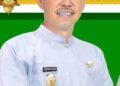 Bupati Rohil Diserang Hoax Pemberhentian Honorer