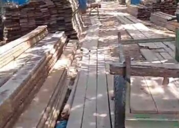 Diduga Kayu Hasil Olahan Ilegal Loging Bebas di Desa Sungai Sembilan Dumai