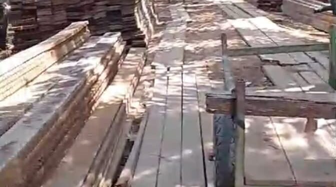 Diduga Kayu Hasil Olahan Ilegal Loging Bebas di Desa Sungai Sembilan Dumai