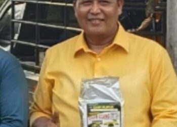 Keunikan Pupuk Organik GMP, Buat Petani Bagus Hasil Melimpah
