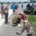 Jembatan Penyebrangan Bunga Raya Memakan Korban Jiwa,