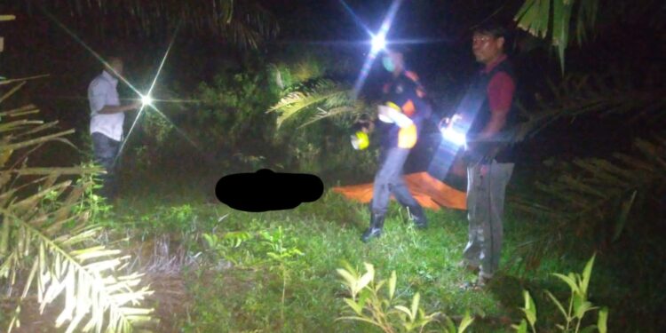 Warga Desa Beringin Taluk yang Hilang Ditemukan Meninggal Dunia di Semak Belukar