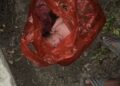 Tak Punya Hati” Bayi Mungil Tak Berdosa Dibuang Orang Tuanya Di Pinggir Jalan