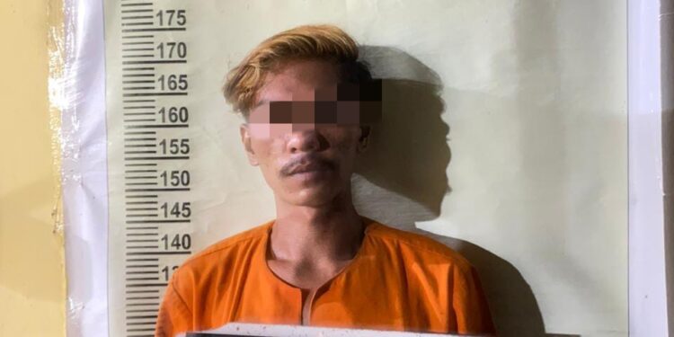 Pelaku Cabuli ABG 13 Tahun, Ditangkap Polsek Siak Hulu