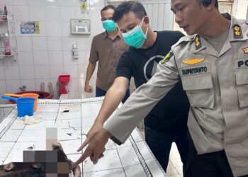 Heboh,,!!! Warga Desa Lubuk Sakat Temukan Bayi Sudah Tidak Bernyawa