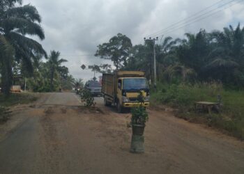 Jalan lintas Rohul Sumut Amputasi, dan di Tanggulangi Pot Bunga