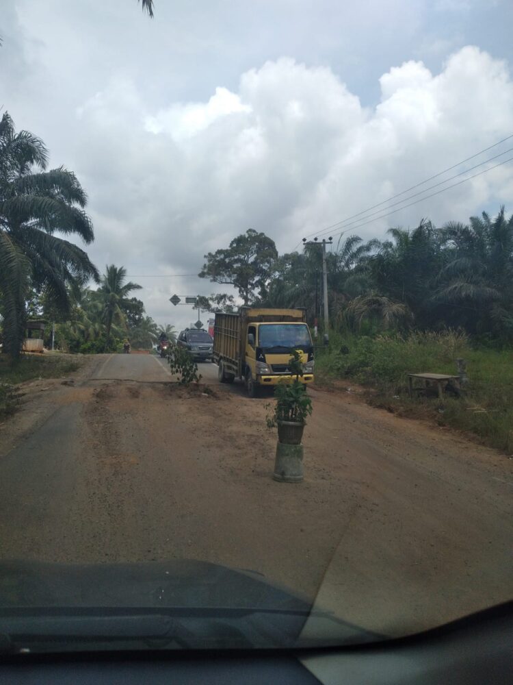 Jalan lintas Rohul Sumut Amputasi, dan di Tanggulangi Pot Bunga