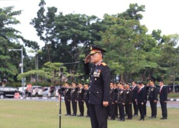 Hari Kebangkitan Nasional ke-116, Bangkitkan Semangat Transformasi Digital Menuju Indonesia Emas