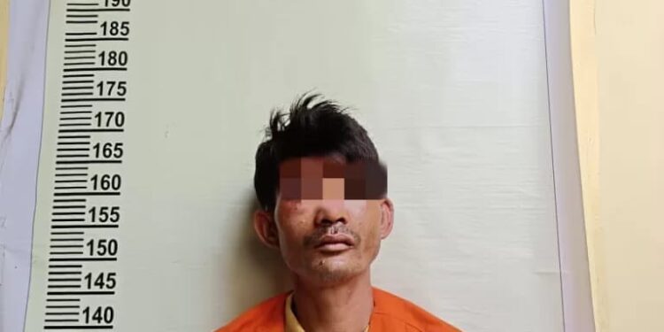 Bertahun Tahun Cabuli Anak Tiri, Ayah Tiri Ditangkap Massa dan Digiring Kemapolsek Siak Hulu